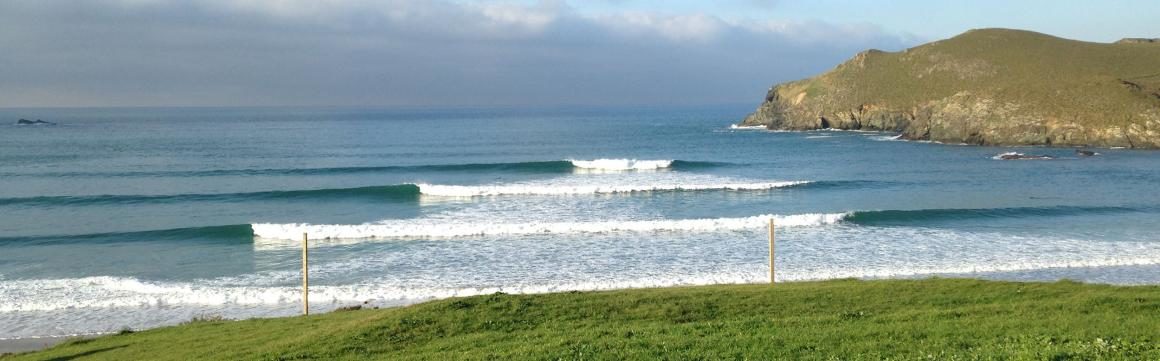 Ola nacional : PANTIN