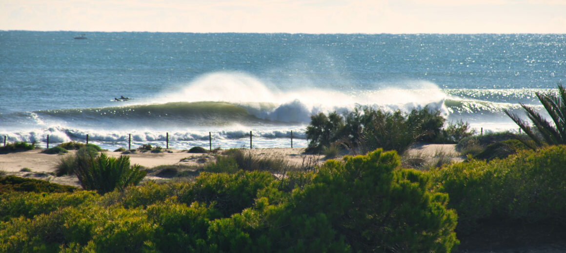 Las brisas costeras y su efecto en el Surf