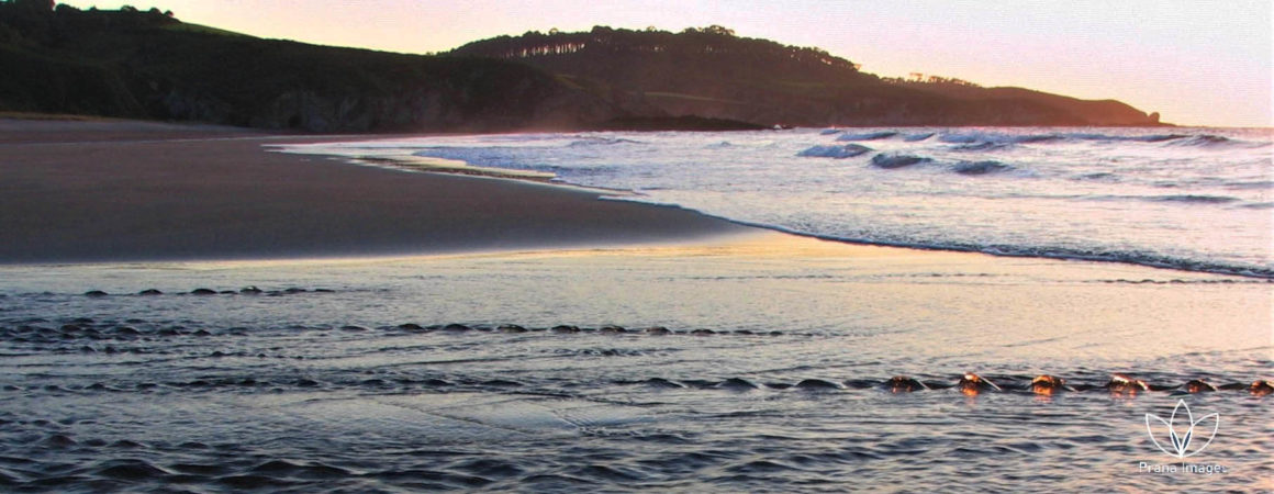 Las mareas: Cómo el Surf depende de ellas