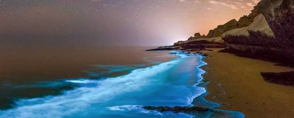 El fenómeno de las aguas Bioluminiscentes