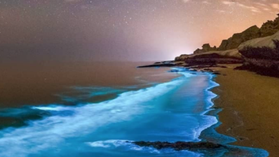 El fenómeno de las aguas Bioluminiscentes