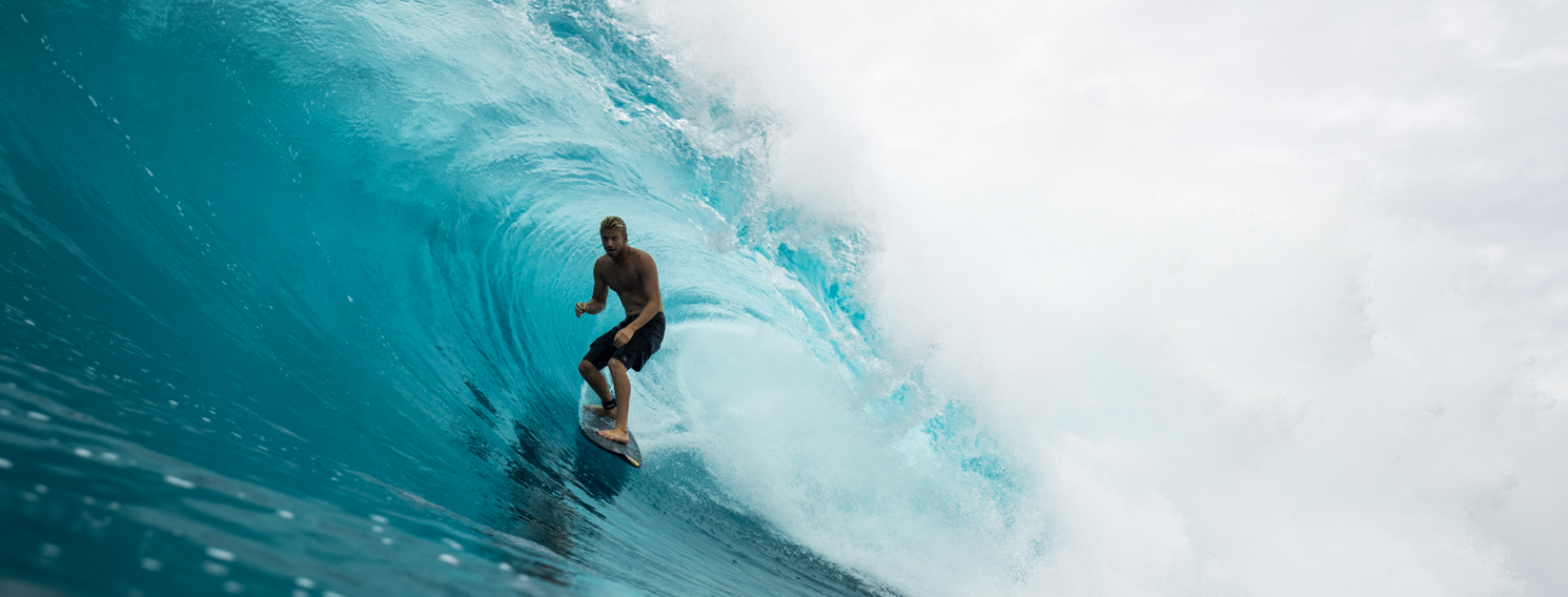 Kolohe andino