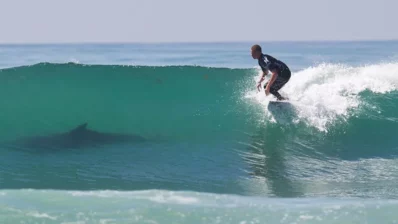 Las playas más infectadas de tiburones del mundo